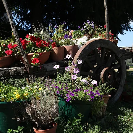 カントリーハウス Casa De Darei